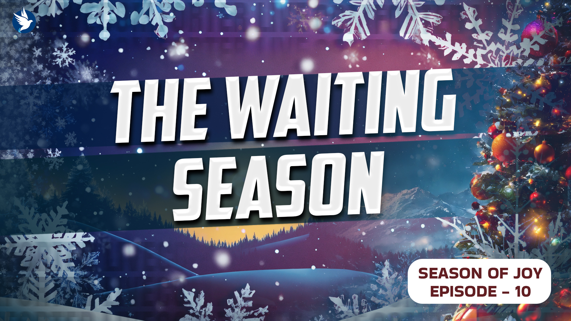THE WAITING SEASON